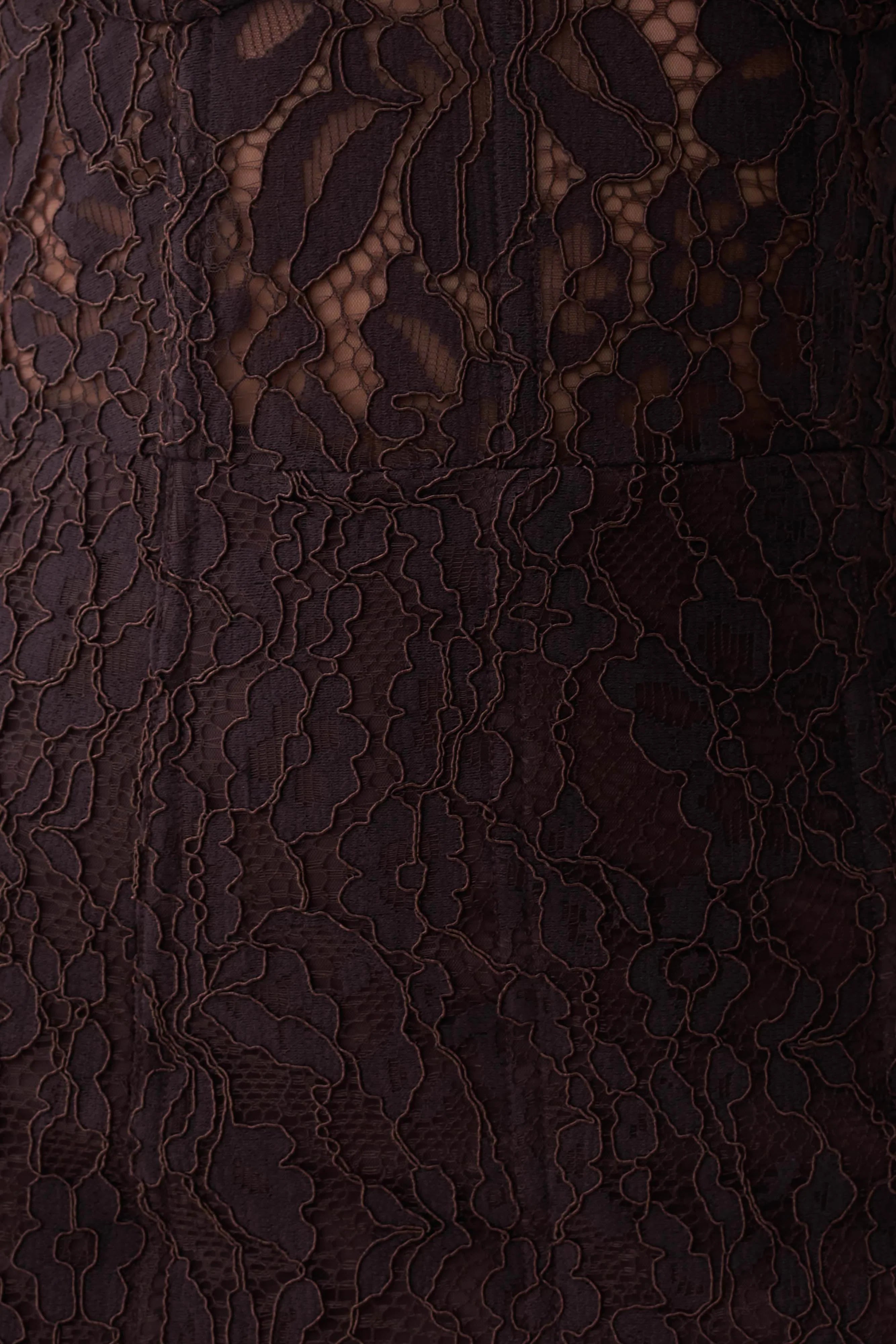 Ottilie Lace And Mesh Midi Dress - Dark Chocolate